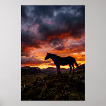 Affiche de coucher de soleil avec silhouette de ch