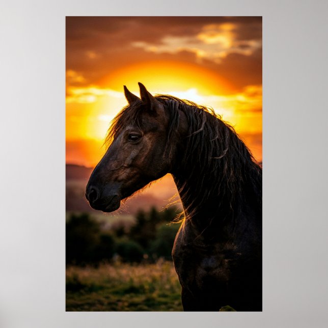 Affiche de coucher de soleil de cheval noir majest (Devant)