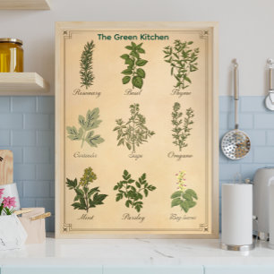 Affiche de cuisine botanique de charte d'herbes vi