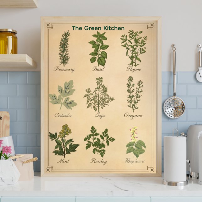 Affiche de cuisine botanique de charte d'herbes vi (Créateur téléchargé)