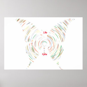 Affiche de cycle de vie