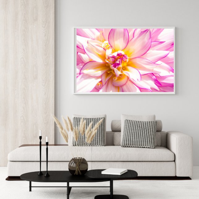 Affiche de Dahlia rose et blanc (Créateur téléchargé)