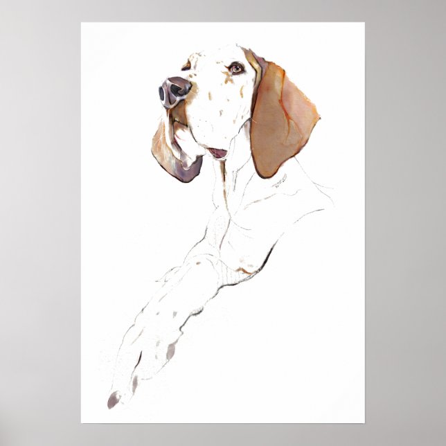 Affiche de décoration murale Pointer anglais, Impr (Devant)