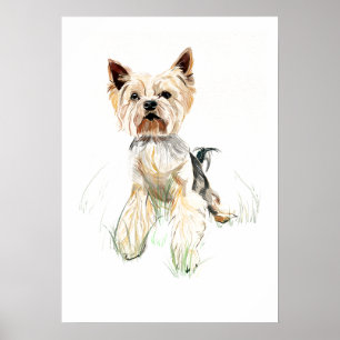 Affiche de décoration murale Yorkshire Terrier – A