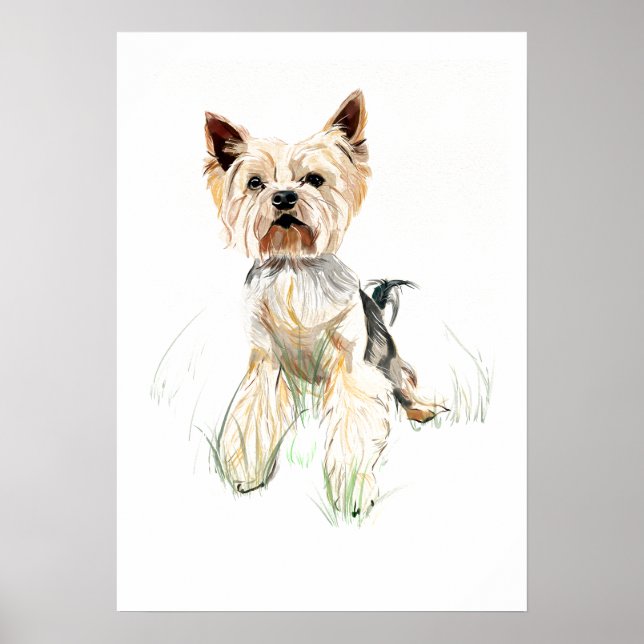 Affiche de décoration murale Yorkshire Terrier – A (Devant)