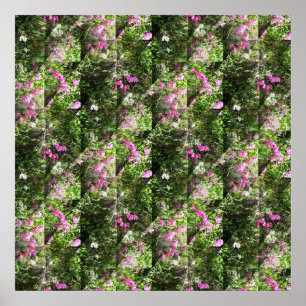 Affiche De délicieux petits pois....