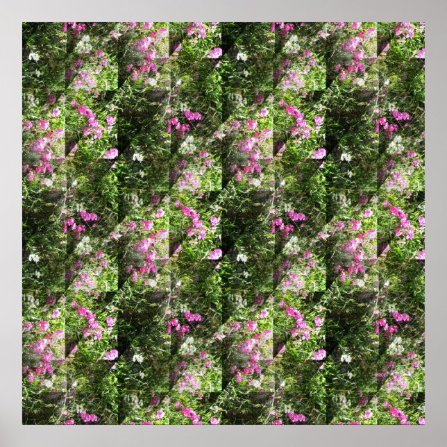 Affiche De délicieux petits pois.... (Devant)