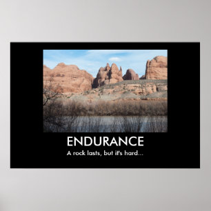 AFFICHE DE DÉMOCRATIE DE L'ENDURANCE