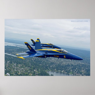 Affiche de démonstration de vol de marine