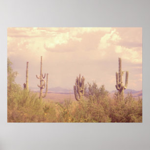 Affiche de Desert Dream