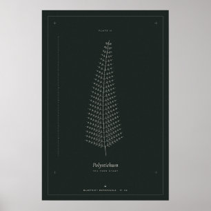 Affiche de dessin botanique de fougère, Dark Acade