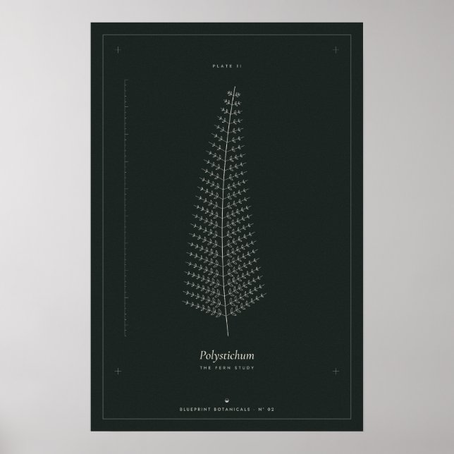 Affiche de dessin botanique de fougère, Dark Acade (Devant)
