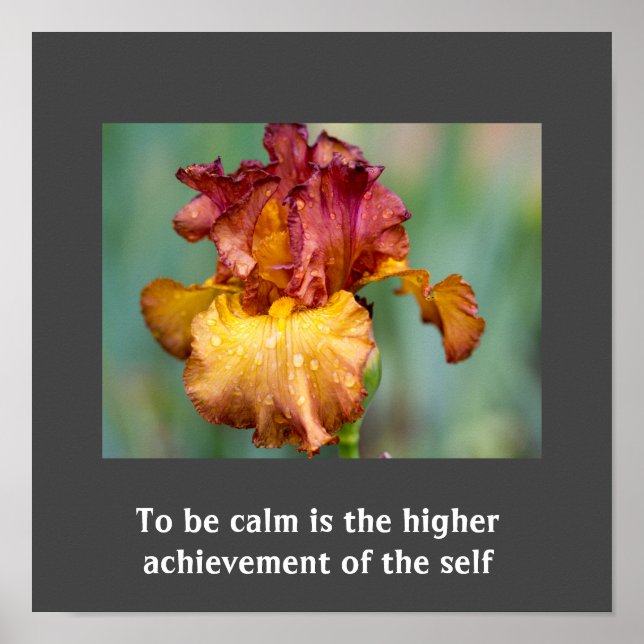 Affiche de devis inspirante (Devant)