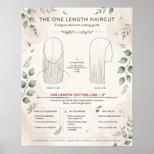 Affiche de diagramme de coupe de cheveux bohème d'