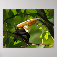 Affiche de dinosaure - Thalassodromeus Toucan