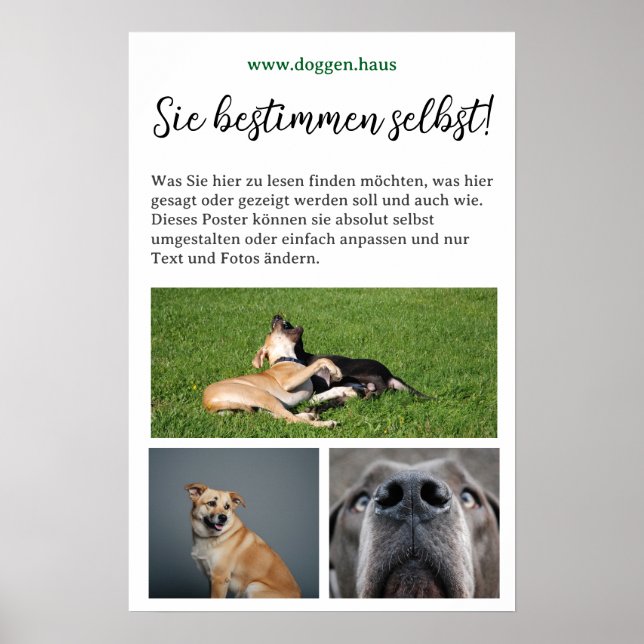 Affiche de Dogue à personnaliser soi-même  (Devant)