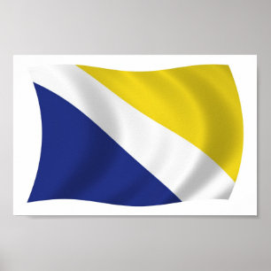 Affiche de drapeau de Géorgie