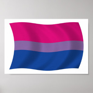 Affiche de drapeau de la fierté bisexuelle Imprime