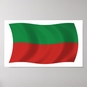 Affiche de drapeau de la nation Sac et Fox (Iowa)