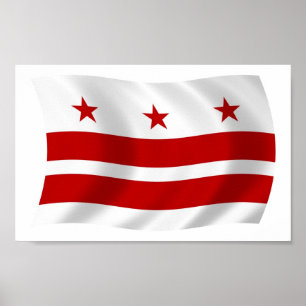Affiche de drapeau de Washington D.C.