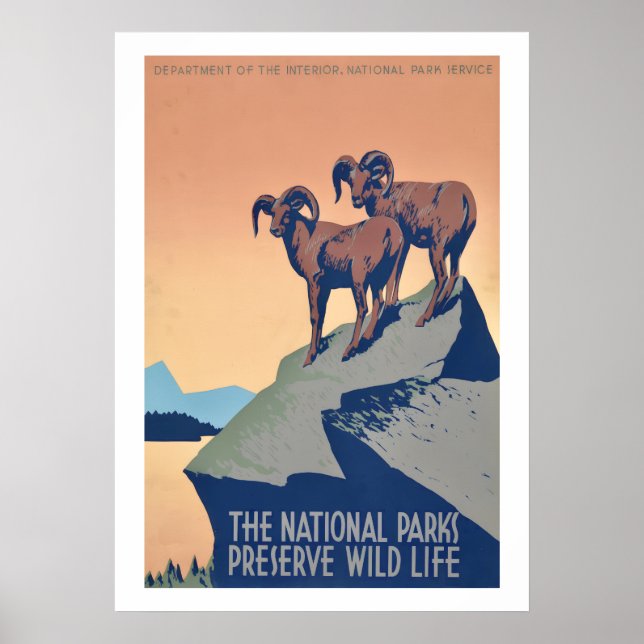 Affiche de faune des parcs nationaux (Devant)