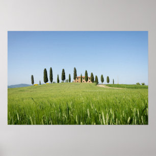 Affiche de ferme toscane avec cyprès