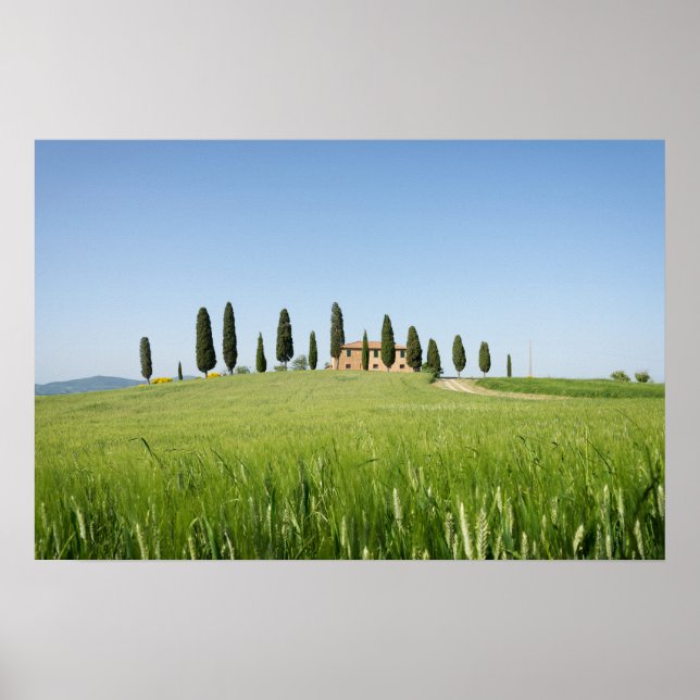 Affiche de ferme toscane avec cyprès (Devant)