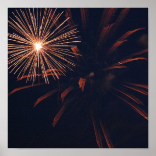 Affiche de feu d'artifice d'araignée