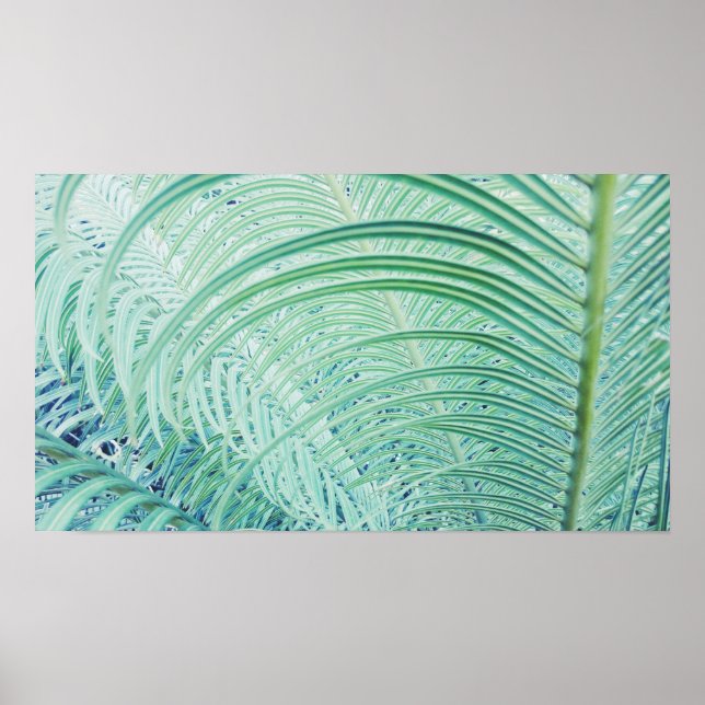 Affiche de feuilles de palmier de plante verte dou (Devant)