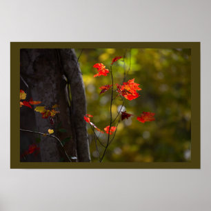 Affiche de feuilles et de branches rouges