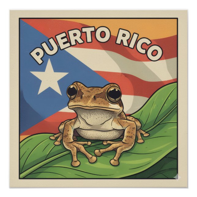 Affiche de fierté rétro Boricua (Devant)