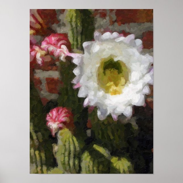 Affiche de fleur de cactus (Devant)