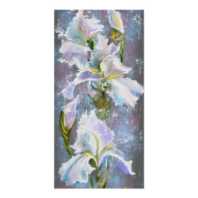 Affiche de fleurs d'iris blanches magnifiques (Devant)