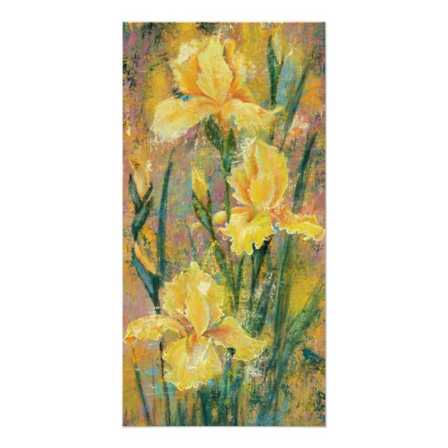 Affiche de fleurs d'iris jaune (Devant)