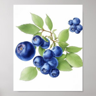 Affiche de fruits Wall Art