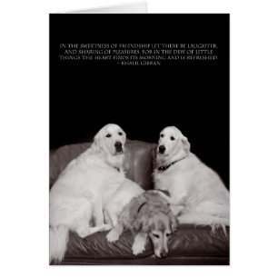 Affiche de Gibran de serre-livres