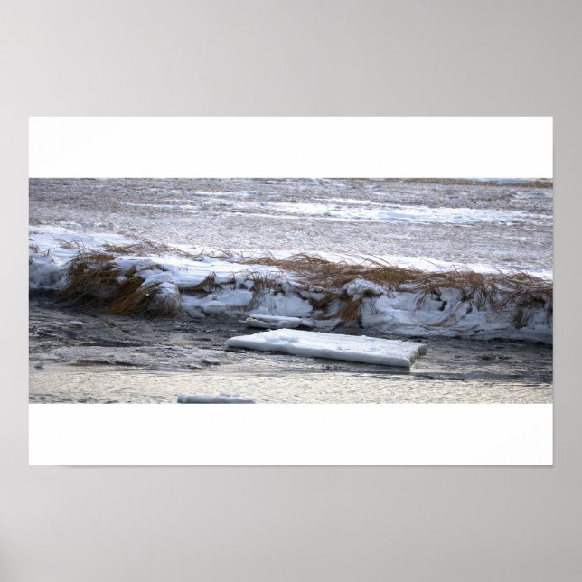 Affiche de glace flottant sur l'eau (Devant)