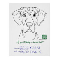 Affiche de Grand Danois en dessin au trait 