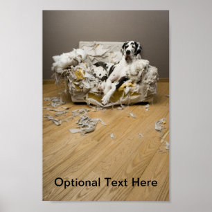 Affiche de great dane