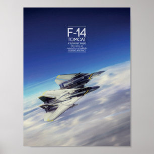 Affiche de Grumman F-14 Tomcat