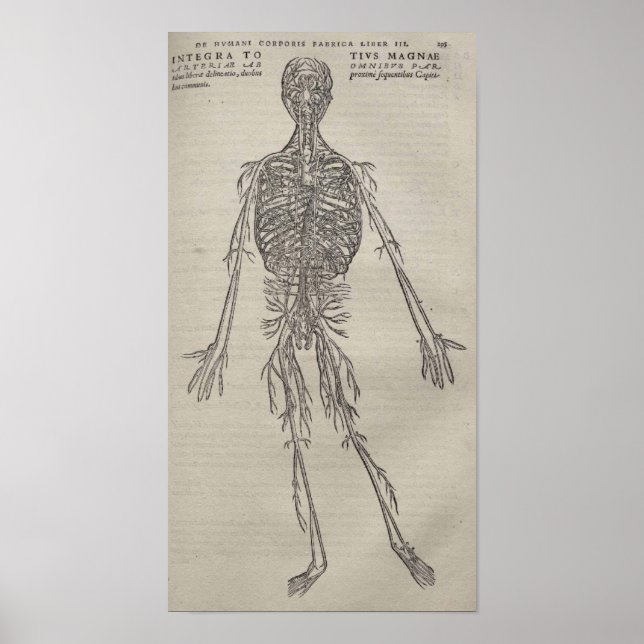 Affiche De Humani Corporis (Devant)