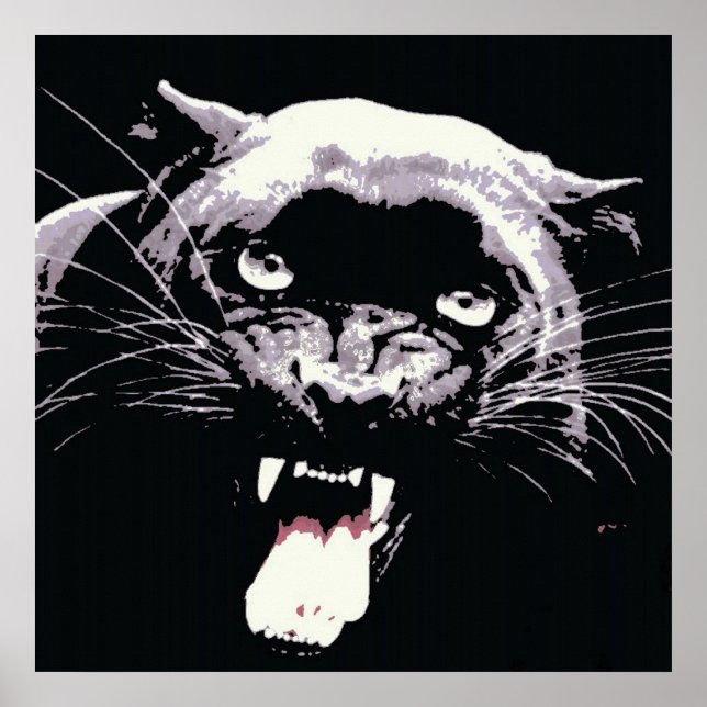 Affiche de jaguar panthère noir (Devant)