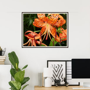 Affiche de jardin de fleurs de lis Tigre