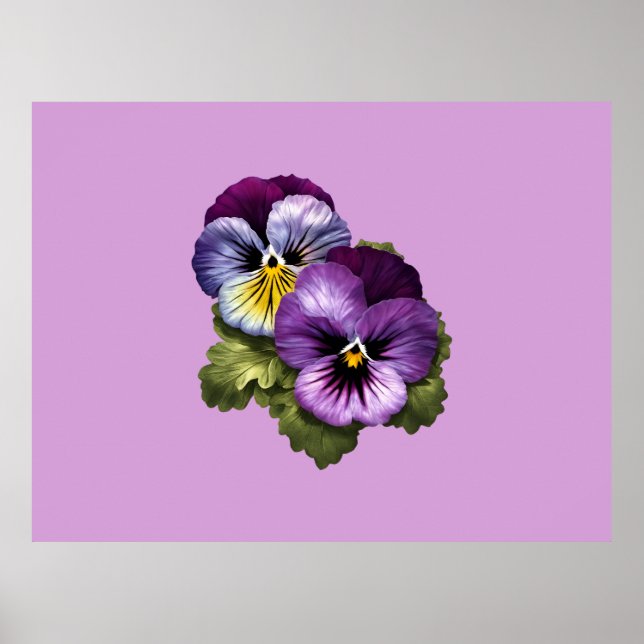 Affiche De Jolies Pansies Violettes (Devant)
