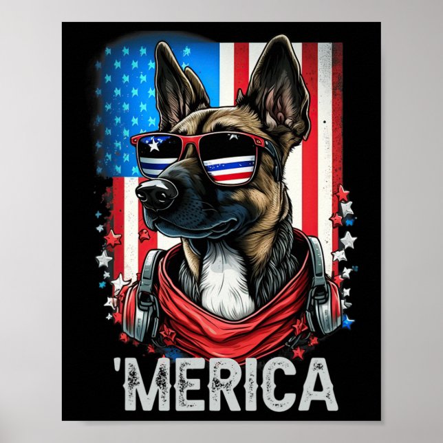 Affiche De Juillet Patriotique Belge Malinois Chien Merica (Devant)