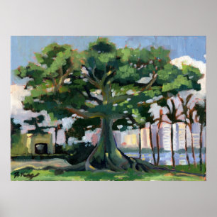 Affiche de Kapok Tree