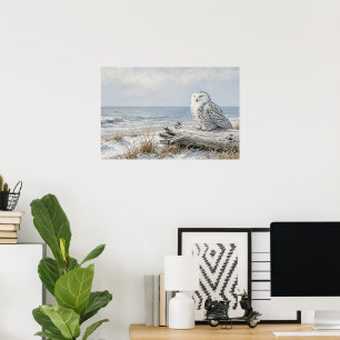 Affiche de la chouette harfang Shore Rest