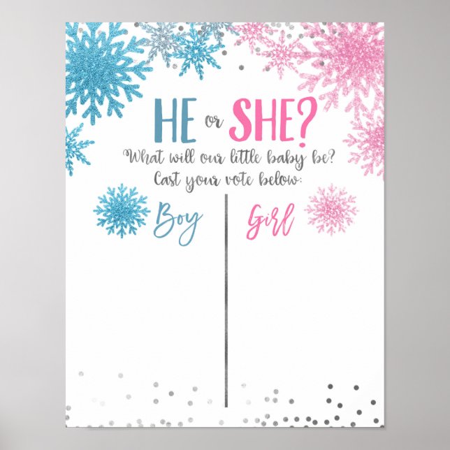 Affiche de la Commission électorale du flocon de n (Devant)