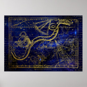 affiche de la constellation du chat et du serpent