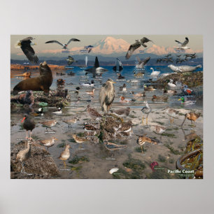 Affiche de la côte du Pacifique